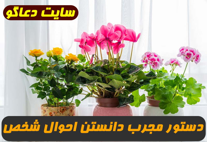 دستور مجرب دانستن احوال شخص غایب,روش محاسبه با حروف ابجد و پی بردن به احوال شخص